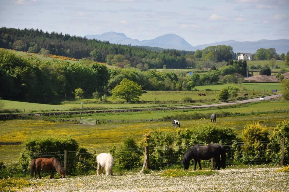 Wellsfield Farm Holiday Lodges スターリング エクステリア 写真